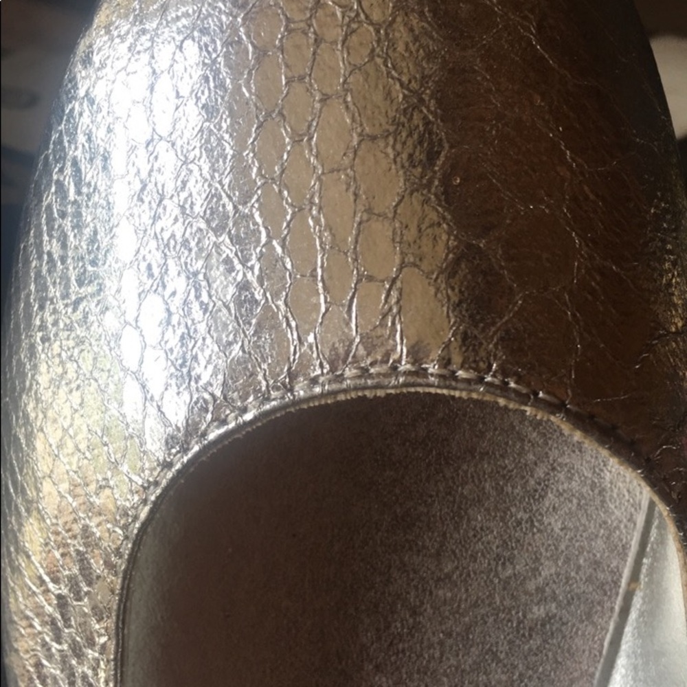 NEW VOLTAGE SILVER FLATS - Picture 4 of 4